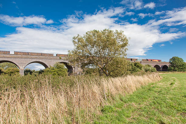 loughborough, England - August 27, 2015: Stanford Viaduct is a railway viaduct in Leicestershire over the River Soar. The viaduct built out of Staffordshire blue brick and industrial grade A brick. the River Soar sweeps round the bend and is banked by trees and farmland (also called Loughborough viaduct). A class 66 locomotive freight train crosses the viaduct