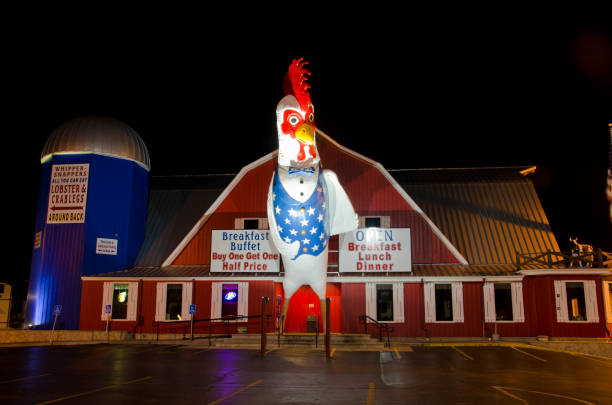 Branson, United States - December 9, 2014: A giant rooster stands at the entrance to one of Branson's many restaurants.