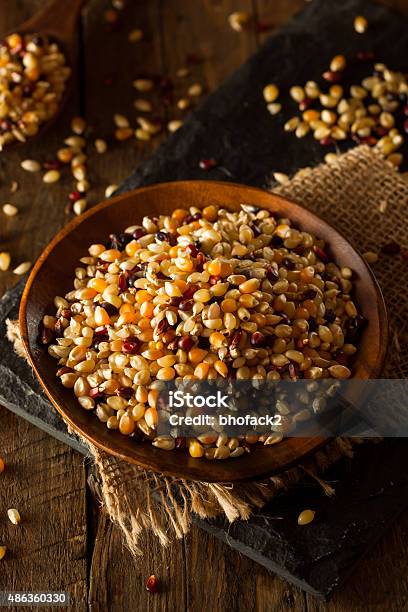 Raw Organic Multi Colored Calico Popcorn Stock Photo - Download Image Now - 2015, Autumn, Cereal Plant