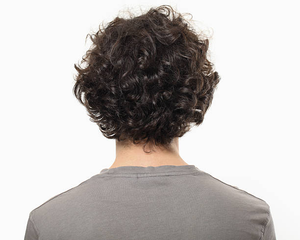 10,873 Mens Hairstyles Back View Stock Photos, Pictures & Royalty-Free  Images - iStock