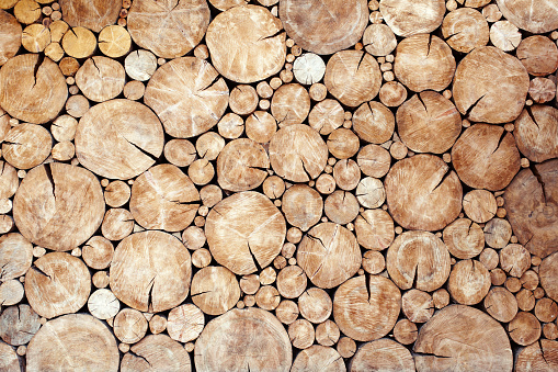 Stacked logs birch wall texture background