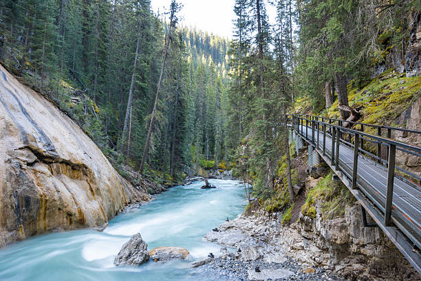 istock Beautiful Johnston Canyon walkway 486367556
