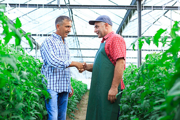 istock Farmers in a greenhouse shaking hands 486368824