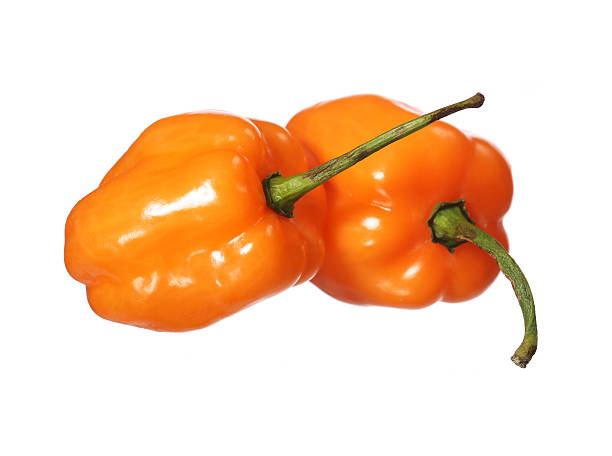 istock Two Extremely Hot Habanero Peppers isolated 486369396