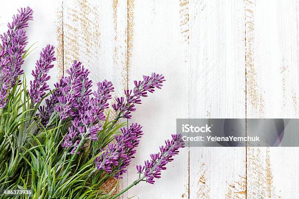 Lavender Stock Photo - Download Image Now - Affectionate, Beauty, Beauty In Nature