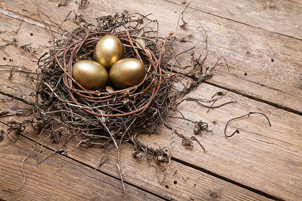 istock Golden eggs in the nest 486375257