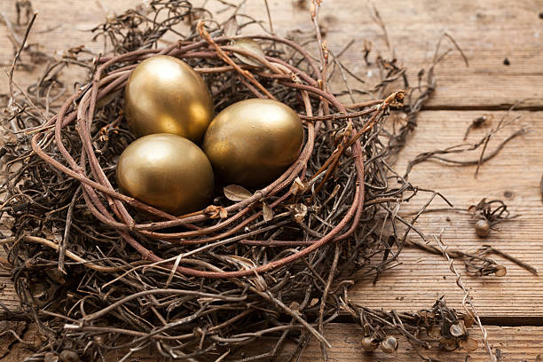 istock Golden eggs in the nest 486375259