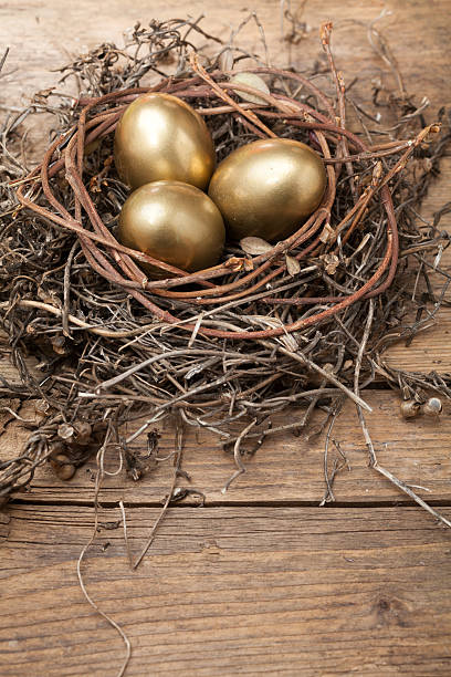 istock Golden eggs in the nest 486375261