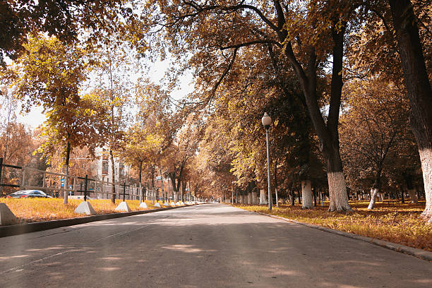 istock landscape park in the city autumn 486376038