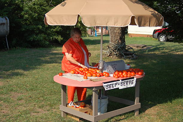 Lady stops at roadside stand for tomatoes