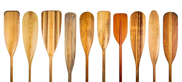 wooden canoe paddles a row of 10 wooden canoe paddles, a variety of styles and shapes - paddling concept oar stock pictures, royalty-free photos & images