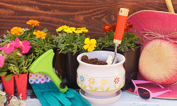istock Goin' To Plant Flowers! 486378757