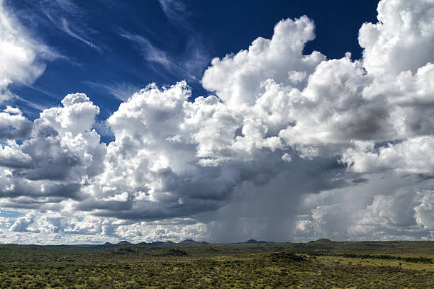 istock Rain Clouds over the namibian savanna 486379405