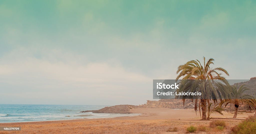 La playa - Foto de stock de Túnez - África del Norte libre de derechos