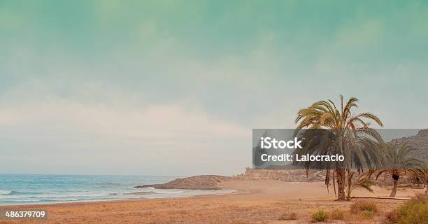 La Playa Foto de stock y más banco de imágenes de Túnez - África del Norte - Túnez - África del Norte, Playa, Desierto