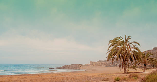 Beach http://luzzatti.es/0_istock_banners/Beaches.jpg tunisia beach stock pictures, royalty-free photos & images