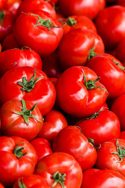 istock Group of fresh tomatoes background. Ripe red tomatoe 486379985