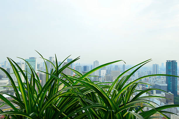 panoramic view of Osaka from the top floor of the highest building in town Symphony Hall, Japan
