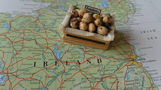 ирландский картофель голода - raw potato root vegetable vegetable sack стоковые фото и изображения