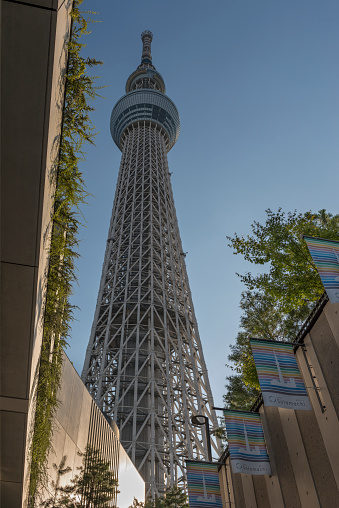 Tokyo, Japan - August 6, 2015: Tokyo Skytree landmark, the highest free standing broadcast tower in the world and the tallest structure in Japan at 634m from below 
