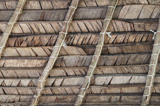 Inside view of a natural building thatched roof made from dried brown banana leaves and bamboo tree trunks.  The leaves are woven to keep rain out in the tropical climate of Madagascar.  