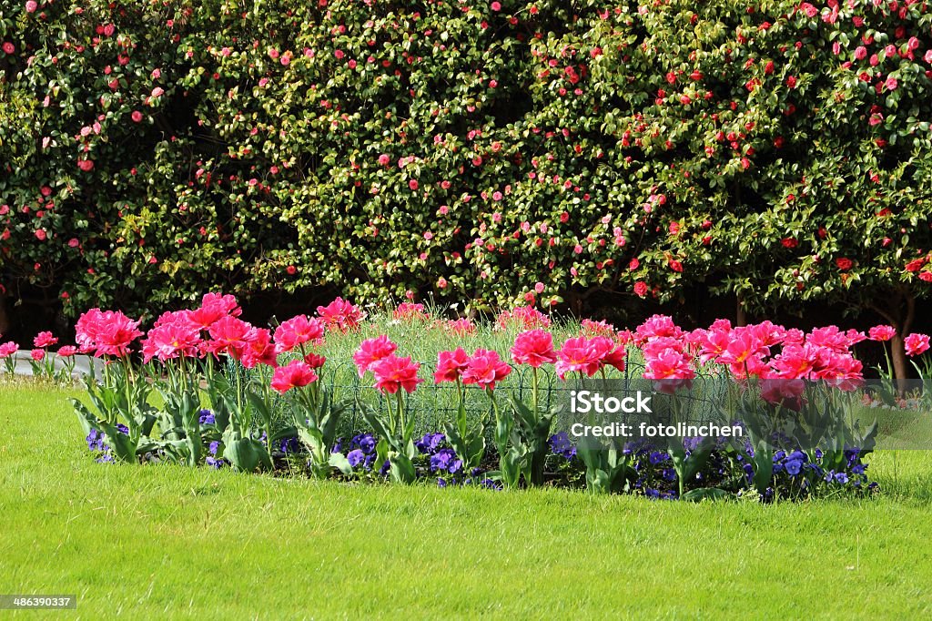 Garten im Frühling - Lizenzfrei Blatt - Pflanzenbestandteile Stock-Foto