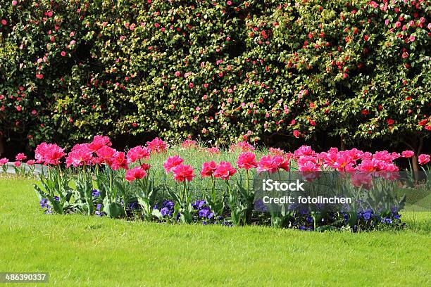 Garten Im Frühling Stockfoto und mehr Bilder von Blatt - Pflanzenbestandteile - Blatt - Pflanzenbestandteile, Blume, Blumenbeet