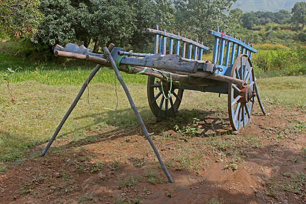 istock Bullock cart, India 486391613