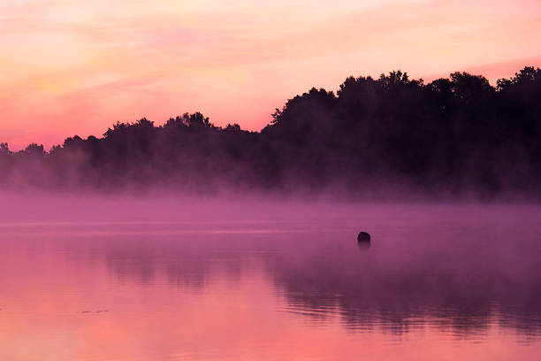 istock Sunrise over the lake 486392210