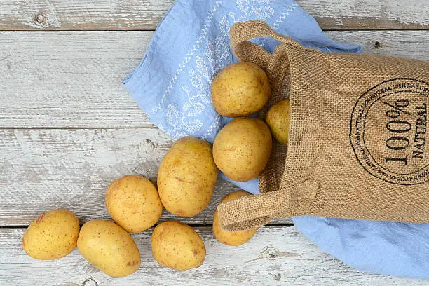 Organic fresh uncooked potatoes in a jute bag on a old weathered wooden white shelves background with vintage blue kitchen tea towel with kopie space