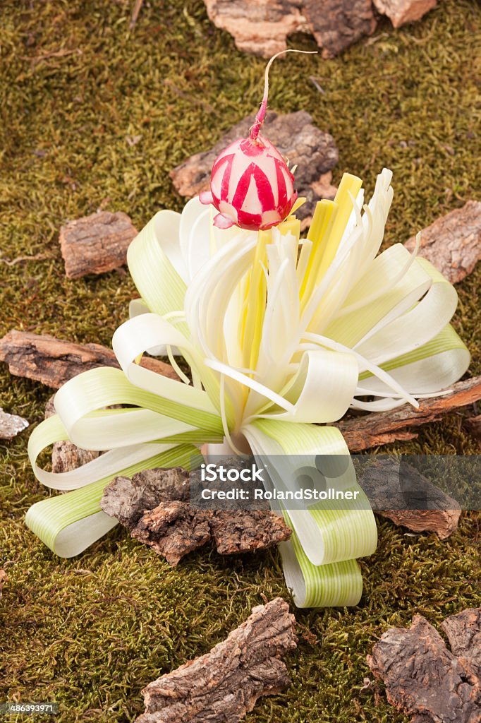 Blume auf Lauch Auf Waldboden - Lizenzfrei Abnehmen Stock-Foto