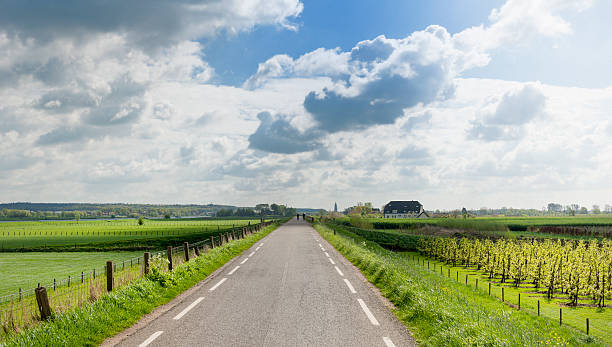 istock Road on dutch dyke in Springtime 486394365
