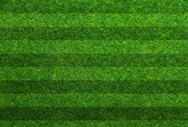 istock Green grass soccer field background 486395309