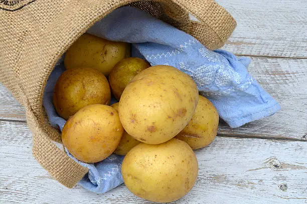 Organic fresh uncooked potatoes in a jute bag on a old weathered wooden white shelves background with vintage blue kitchen tea towel with kopie space