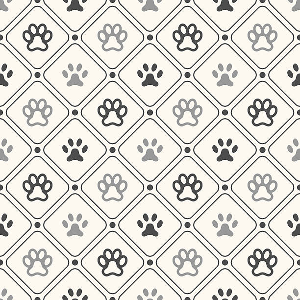 ilustrações de stock, clip art, desenhos animados e ícones de animal sem costura padrão de pegada de pata de moldura e bolinhas - dog spotted purebred dog kennel