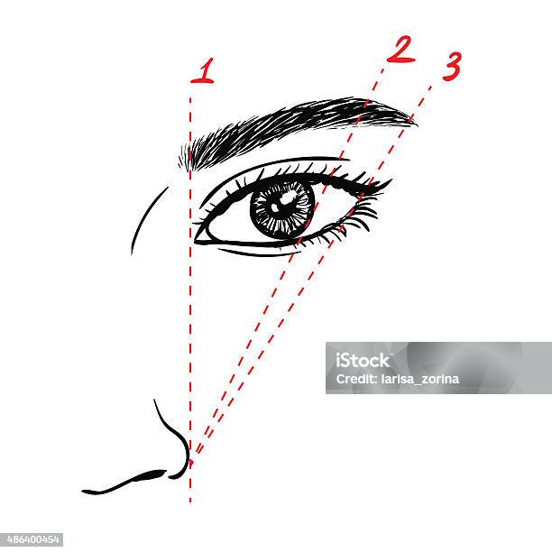 How To Paint The Eyebrows Stock Illustration - Download Image Now - Eyebrow, Shape, 2015