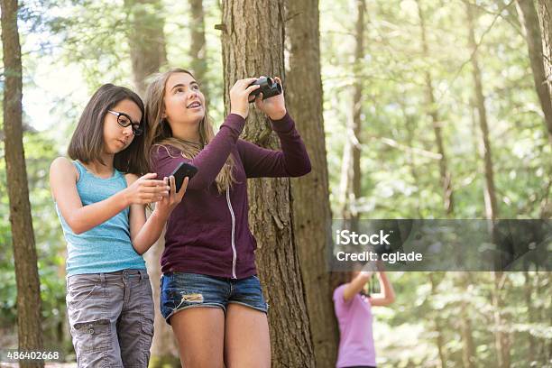 Utilizzando Applicazioni Mobile Nellistruzione - Fotografie stock e altre immagini di Bambino - Bambino, Natura, Binocolo