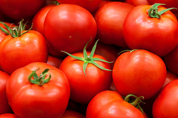 istock Pile of Tomatoes 486403404