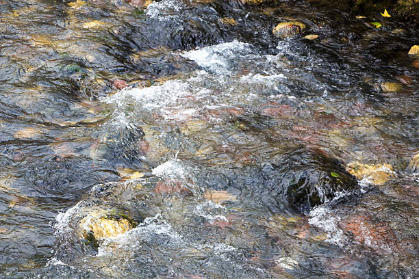 istock Photo flowing mountain stream, water 486406572