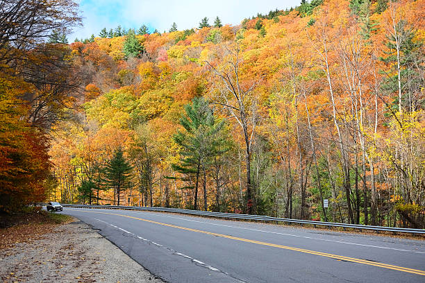 istock Autumn scene with road 486407984