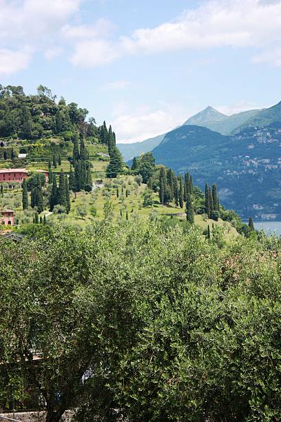 istock Bellagio at Lake Como under blue sky in Italy 486408612