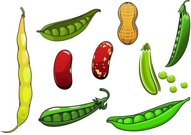 294 Cartoon Of A Green Bean Illustrations & Clip Art - iStock