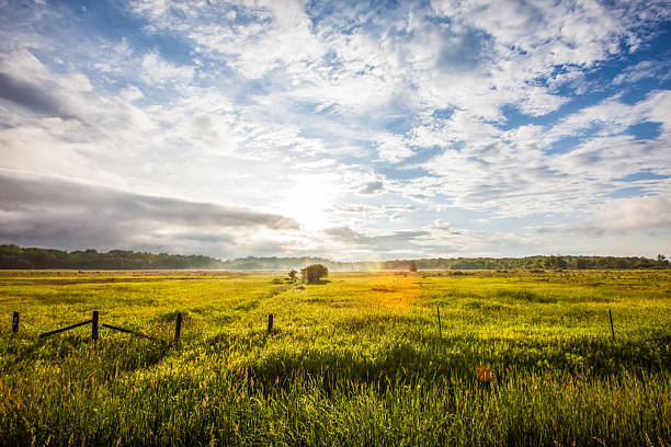 istock Sunrise at a farm 486415835