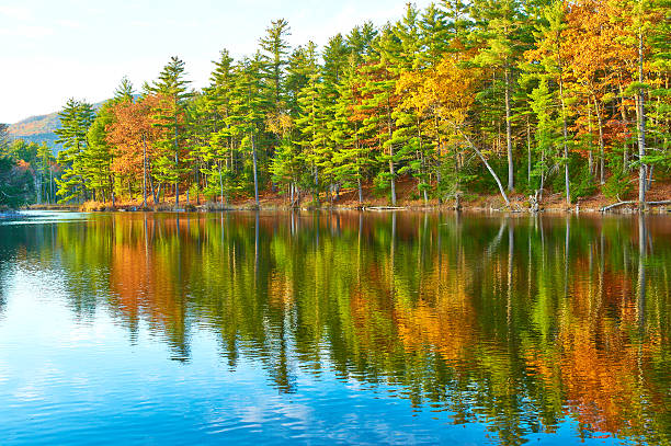 istock Pond in White Mountain National Forest, New Hampshire 486416652
