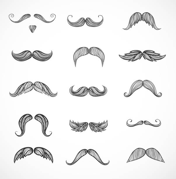 소묘 of moustaches 흰색 - sideburn stock illustrations