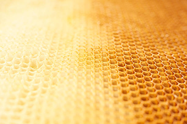 Honeycomb background stock photo