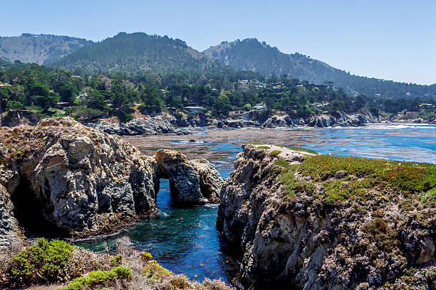 istock Point Lobos State Natural Reserve, with rock, water caves 486417964