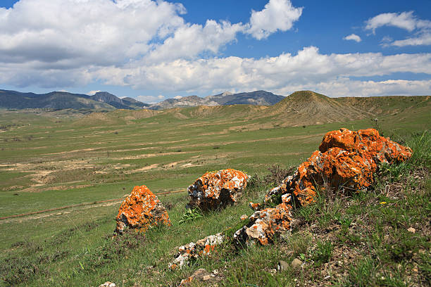 Green valley with stones stock photo