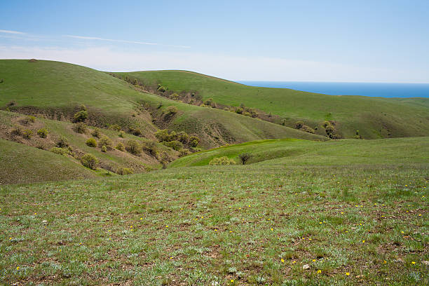 Green hills stock photo