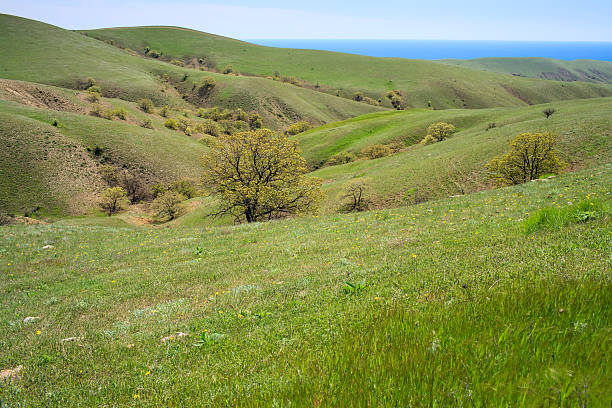 Green hills stock photo